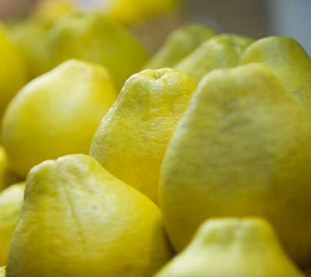 5 lý do nên ăn bưởi thường xuyên ảnh 2