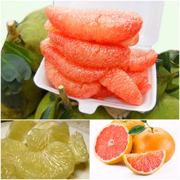 5 lý do nên ăn bưởi thường xuyên ảnh 1