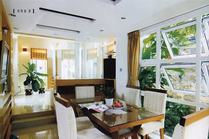 Trồng cây này trong nhà sự nghiệp HƯNG PHÁT, gia đình yên ấm, TÀI LỘC đến cửa!