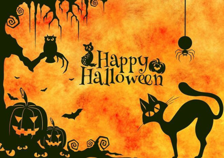Lang thang trong đêm Halloween, cẩn thận ma quỷ Lang thang trong dem Halloween, can than ma quy