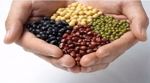 Thực đơn cho người suy nhược thần kinh - ảnh 1