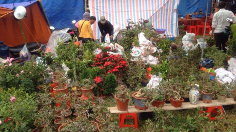 Nam Định: Nhà trường nói gì khi học sinh nghỉ học khai hội chợ Viềng - Ảnh 2 Nam Dinh: Nha truong noi gi khi hoc sinh nghi hoc khai hoi cho Vieng - Anh 2