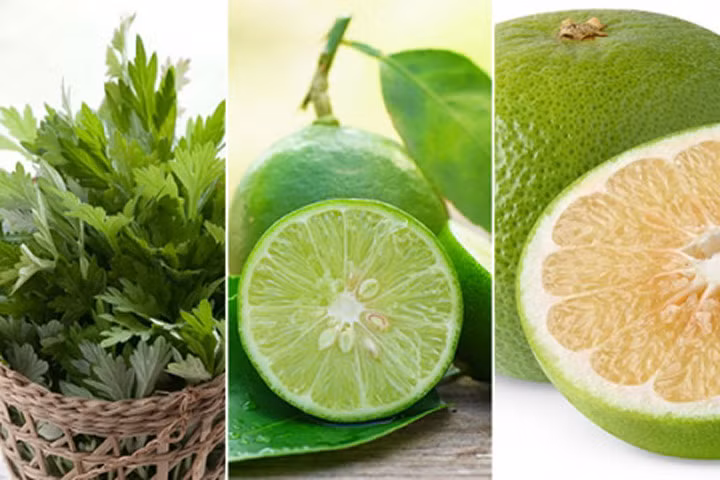 3 bài thuốc trị dứt điểm gai cột sống cực hiệu quả