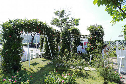 Bất ngờ với vườn hồng lớn nhất Việt Nam ảnh 3 Bất ngờ với vườn hồng lớn nhất Việt Nam - 3