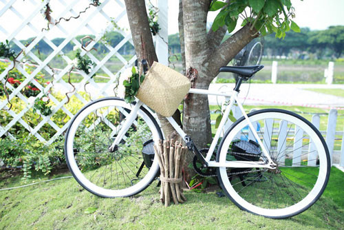 Bất ngờ với vườn hồng lớn nhất Việt Nam ảnh 5 Bất ngờ với vườn hồng lớn nhất Việt Nam - 5