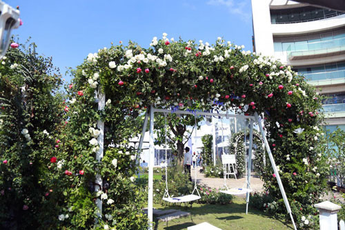 Bất ngờ với vườn hồng lớn nhất Việt Nam ảnh 4 Bất ngờ với vườn hồng lớn nhất Việt Nam - 4