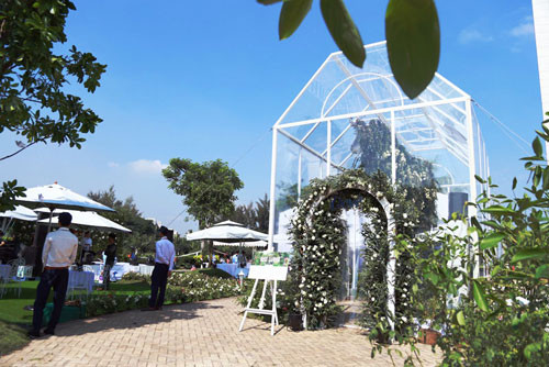 Bất ngờ với vườn hồng lớn nhất Việt Nam ảnh 1 Bất ngờ với vườn hồng lớn nhất Việt Nam - 1