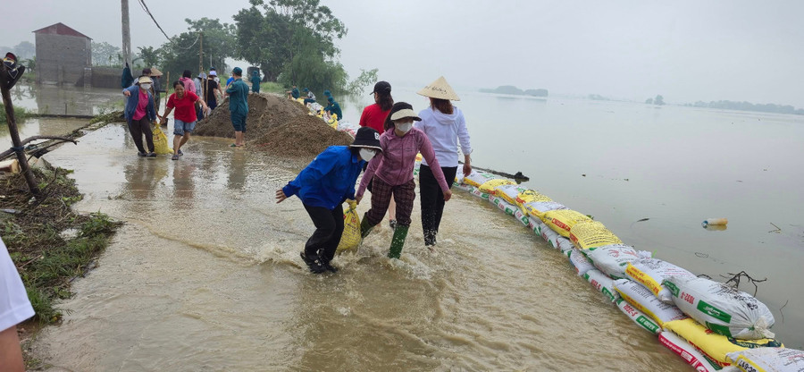 Các thầy cô cùng người dân và các lực lượng khác tích cực tham gia đắp đê chống lũ khi có lệnh từ cấp trên. 