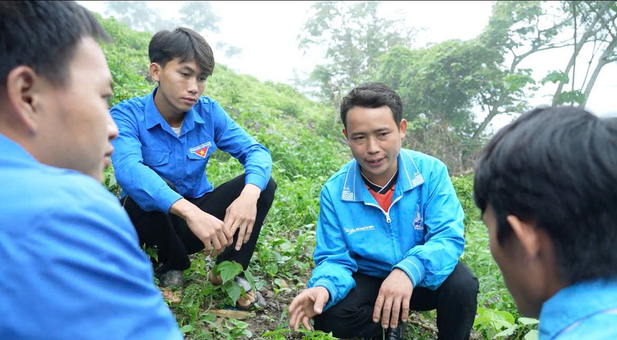 Nhóm thanh niên được anh Lầu A Vàng dẫn đi tham quan nương dâu. Ảnh: Ban Tuyên giáo và Dân vận tỉnh Cao Bằng