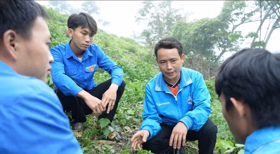 Nhóm thanh niên được anh Lầu A Vàng dẫn đi tham quan nương dâu. Ảnh: Ban Tuyên giáo và Dân vận tỉnh Cao Bằng