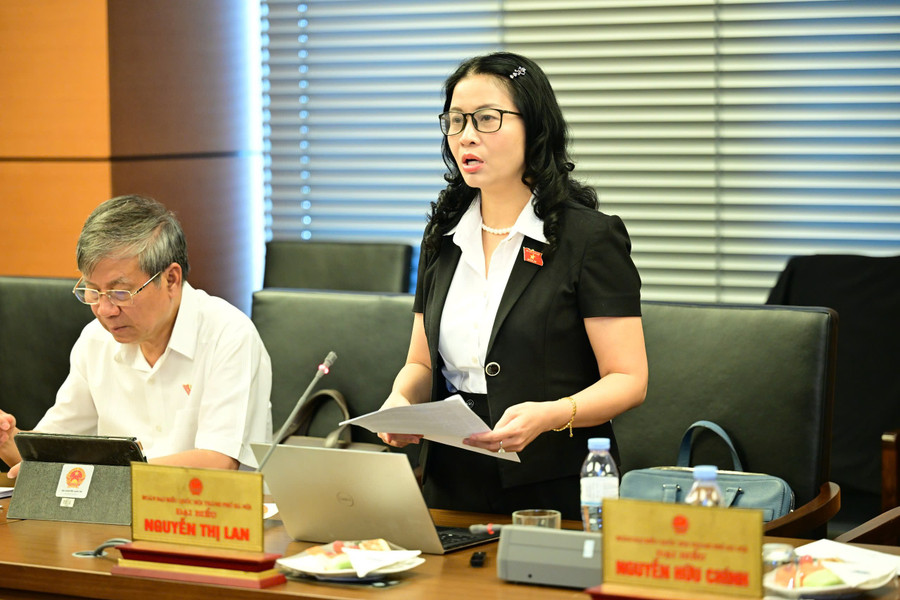 ĐBQH Nguyễn Thị Lan phát biểu thảo luận tại tổ. Ảnh: Xuân Trung/SGGP. gs-lan.jpg