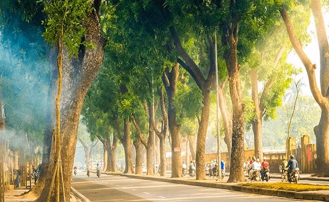 Thời tiết hôm nay 17/11: Bắc Bộ đón không khí lạnh, Nam Bộ chiều tối mưa vài nơi