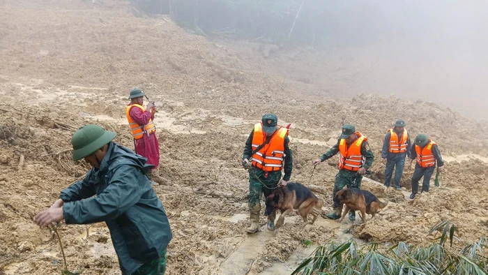 Bộ đội cùng chó nghiệp vụ đến hiện trường vụ sạt lở tìm kiếm nạn nhân mất tích.