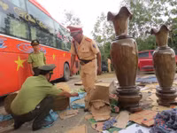 Bắt giữ một xe khách vận chuyển gỗ quý không rõ nguồn gốc ảnh 6