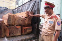 Bắt giữ xe tải chở gần 2,5m3 gỗ Dạ Chồn ảnh 11