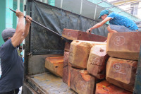 Bắt giữ xe tải chở gần 2,5m3 gỗ Dạ Chồn ảnh 6