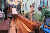 Bắt giữ xe tải chở gần 2,5m3 gỗ Dạ Chồn ảnh 1