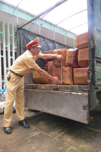 Bắt giữ xe tải chở gần 2,5m3 gỗ Dạ Chồn ảnh 7