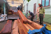 Bắt giữ xe tải chở gần 2,5m3 gỗ Dạ Chồn ảnh 2