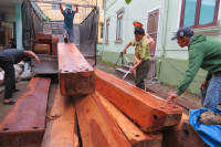 Bắt giữ xe tải chở gần 2,5m3 gỗ Dạ Chồn ảnh 5