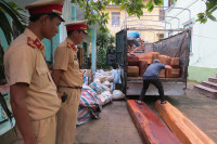 Bắt giữ xe tải chở gần 2,5m3 gỗ Dạ Chồn ảnh 4