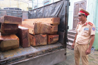 Bắt giữ xe tải chở gần 2,5m3 gỗ Dạ Chồn ảnh 8