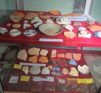 Sẽ tiếp tục mở rộng khảo cổ học tìm cung điện Đan Dương ở gò Dương Xuân ảnh 6