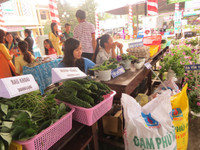 Trường ĐH Nông Lâm Huế đón nhận Huân chương Độc lập hạng Nhất ảnh 9