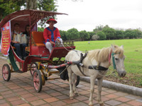 Hơn 2 triệu lượt khách đến thăm khu di sản Huế ảnh 5