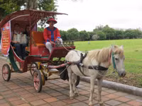 Hơn 2 triệu lượt khách đến thăm khu di sản Huế ảnh 5