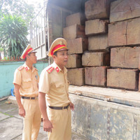 Bắt khẩn cấp xe tải chở gỗ lậu trên Quốc lộ 1A ảnh 8