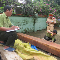 Bắt khẩn cấp xe tải chở gỗ lậu trên Quốc lộ 1A ảnh 2