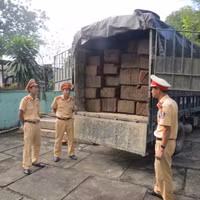 Bắt khẩn cấp xe tải chở gỗ lậu trên Quốc lộ 1A ảnh 7