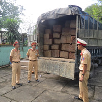 Bắt khẩn cấp xe tải chở gỗ lậu trên Quốc lộ 1A ảnh 7