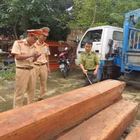 Bắt khẩn cấp xe tải chở gỗ lậu trên Quốc lộ 1A ảnh 5