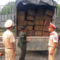 Bắt khẩn cấp xe tải chở gỗ lậu trên Quốc lộ 1A ảnh 6