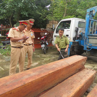 Bắt khẩn cấp xe tải chở gỗ lậu trên Quốc lộ 1A ảnh 5