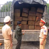 Bắt khẩn cấp xe tải chở gỗ lậu trên Quốc lộ 1A ảnh 6