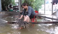 Thừa Thiên - Huế : Đã có 3 người chết do mưa lũ ảnh 3 Thừa Thiên - Huế : Đã có 3 người chết do mưa lũ ảnh 3