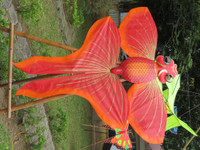 Cánh diều ba miền hội ngộ bên dòng Hương ảnh 5  Cánh diều ba miền hội ngộ bên dòng Hương ảnh 5