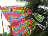 Cánh diều ba miền hội ngộ bên dòng Hương ảnh 4  Cánh diều ba miền hội ngộ bên dòng Hương ảnh 4