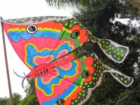  Cánh diều ba miền hội ngộ bên dòng Hương ảnh 4