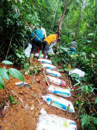 4. Công tác tạo dựng bậc thang lên đỉnh Pù Luông đang được thực hiện khẩn trương.jpg