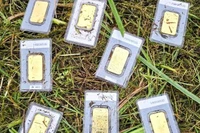 Công nhân phát hiện 8 thỏi vàng khi đang cắt cỏ