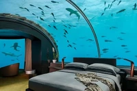 Tại khu nghỉ dưỡng Conrad Maldives Rangali Island có The Muraka, một dinh thự sang trọng 2 tầng đầu tiên, với phòng ngủ chính chìm sâu hơn 4,88 mét dưới mực nước biển ở Ấn Độ Dương.