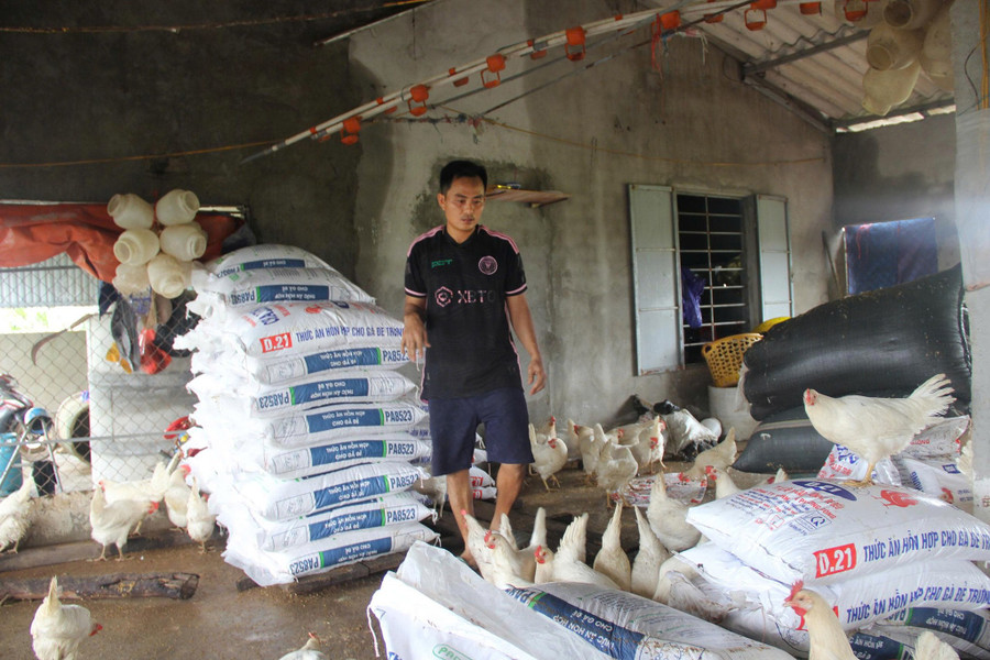 Trong khi đó, hàng tấn thức ăn của gia đình chị Chung cũng bị ướt, hư hỏng. trai-ga-4.jpg