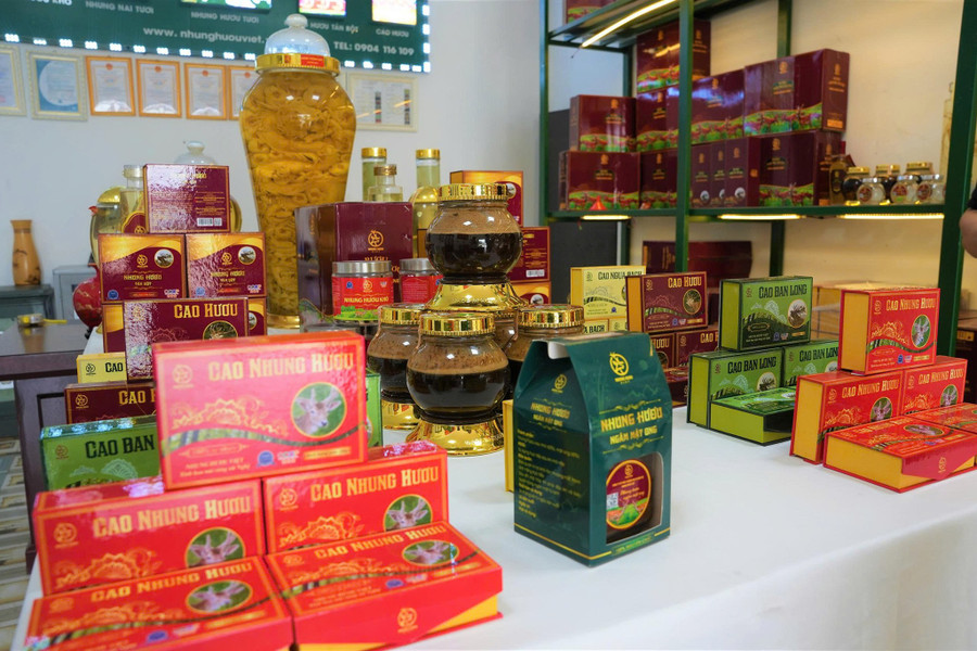 Nhiều sản phẩm được chế biến từ nhung hươu ở Nghệ An. nuoi-huou-4.jpg