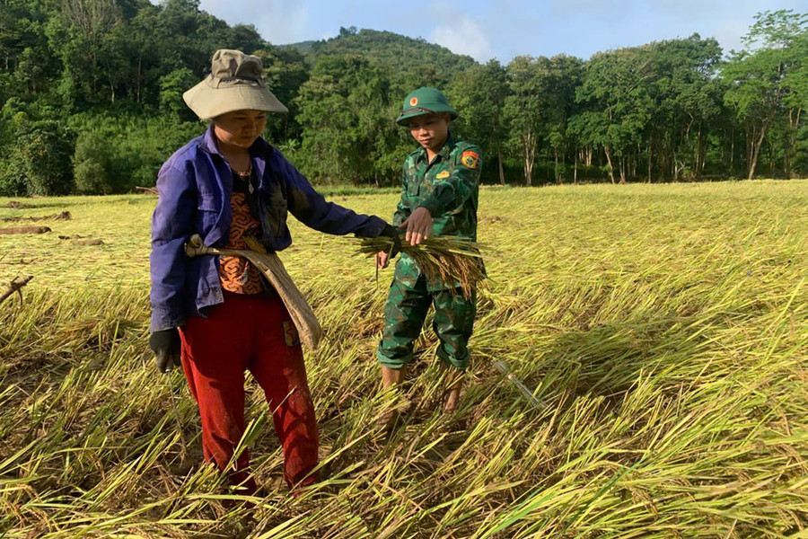 Lũ mang theo đất đá tràn qua các bản làng, không chỉ gây thiệt hại về nhà cửa mà còn cuốn trôi, vùi lấp hàng chục hecta hoa màu, lúa. 49d75b76576be335ba7a.jpg
