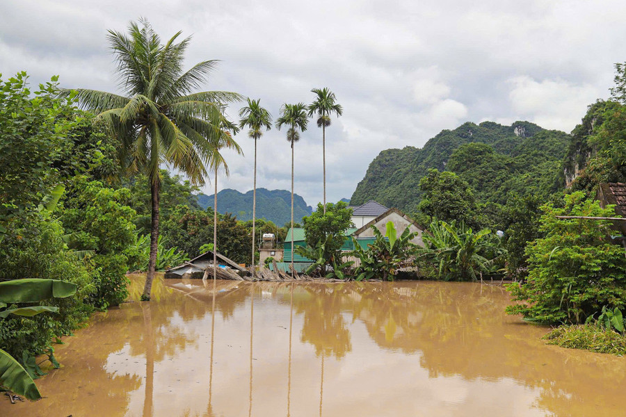 Thôn Bản Pha, xã Con Cuông có 150 hộ thì có tới 140 hộ bị nước ngập sâu. concuong15.jpg