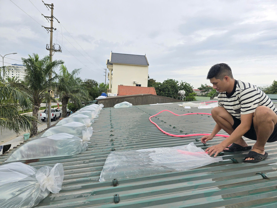Người dân phường Cửa Lò, Nghệ An dùng túi nước để lên mái nhà. 6d2b36d7c24d4a13135c.jpg